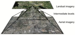 Optimizing continuity in multiscale imagery